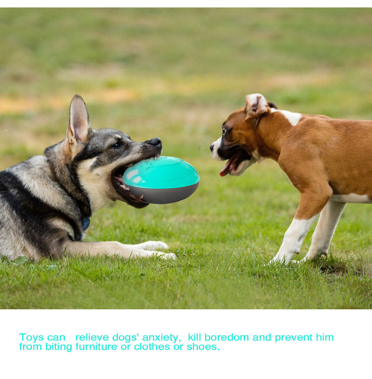 https://cdn.shopifycdn.net/s/files/1/0065/3629/8594/files/Squeaky_Dog_Toys_Interactive_Fun_Dog_Food_Bowls_Puzzle_Feeder_for_Puppies-6.jpg?v=1596009990