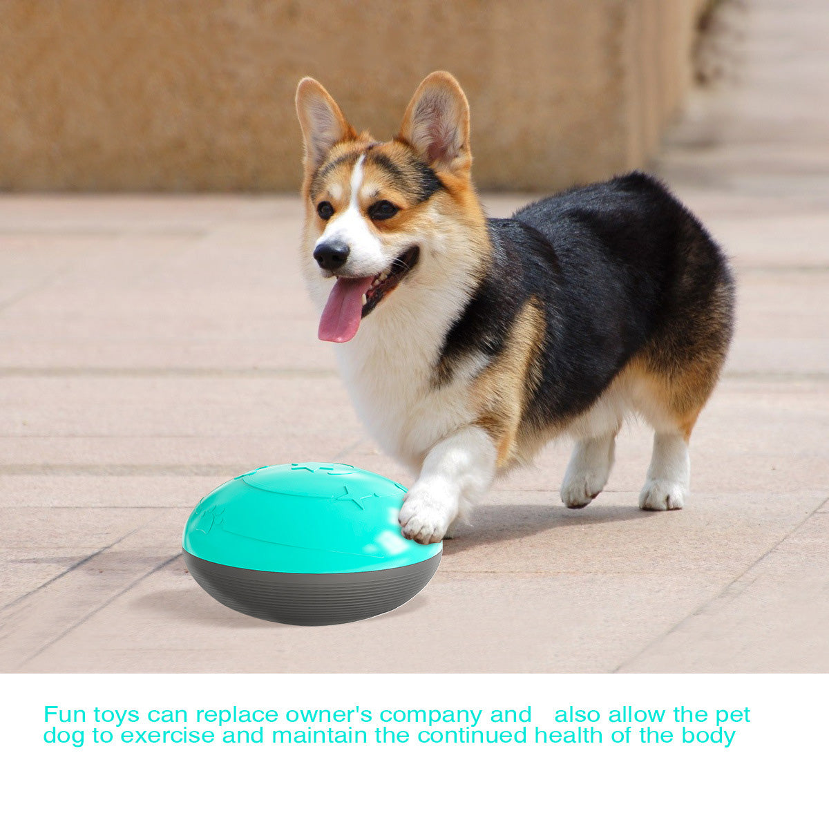 Squeaky Dog Toys Interactive Fun Dog Food Bowls Puzzle Feeder for Puppies