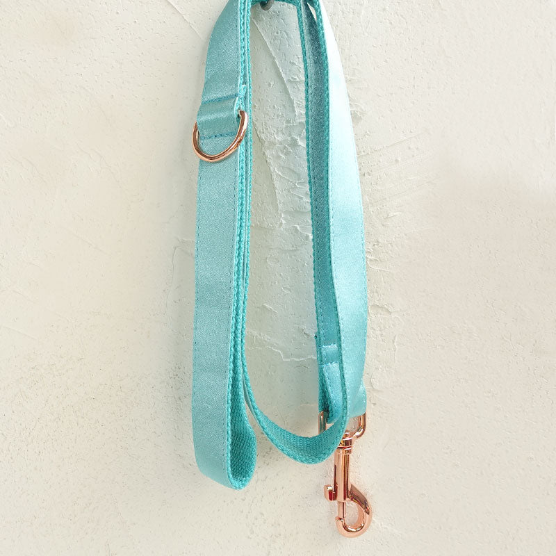 petduro dog leash cyan sating