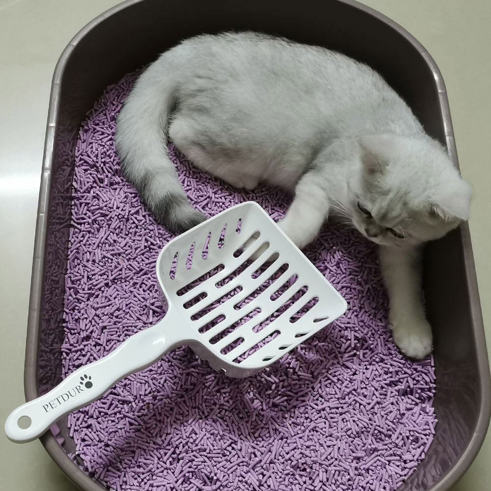 cat-litter-scoop-white