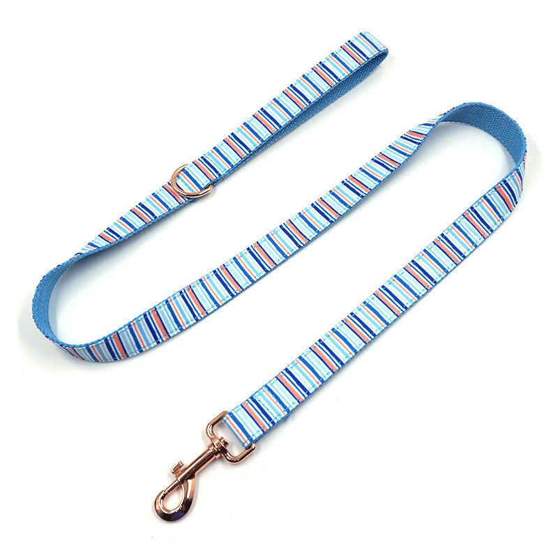 dog leash blue stripe