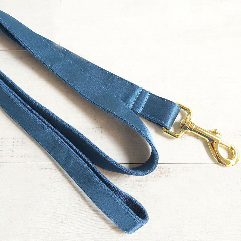 ocean blue dog leash