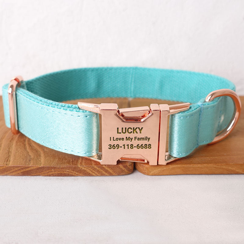 Collar de perro moderno personalizado