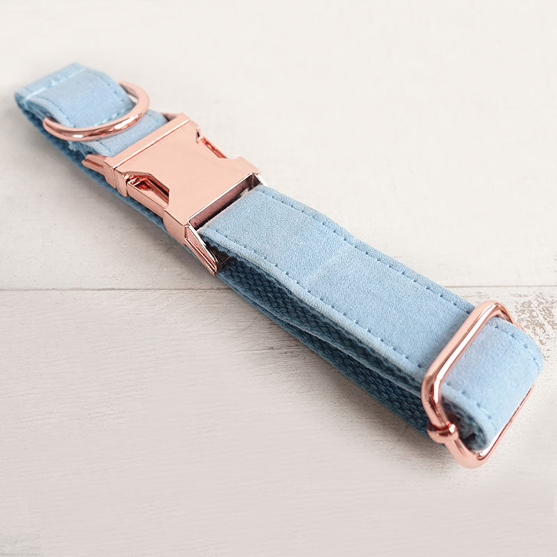 blue dog collar for boy