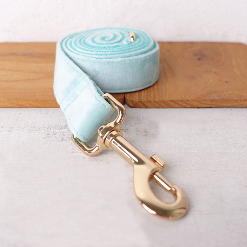 dog leash mint blue