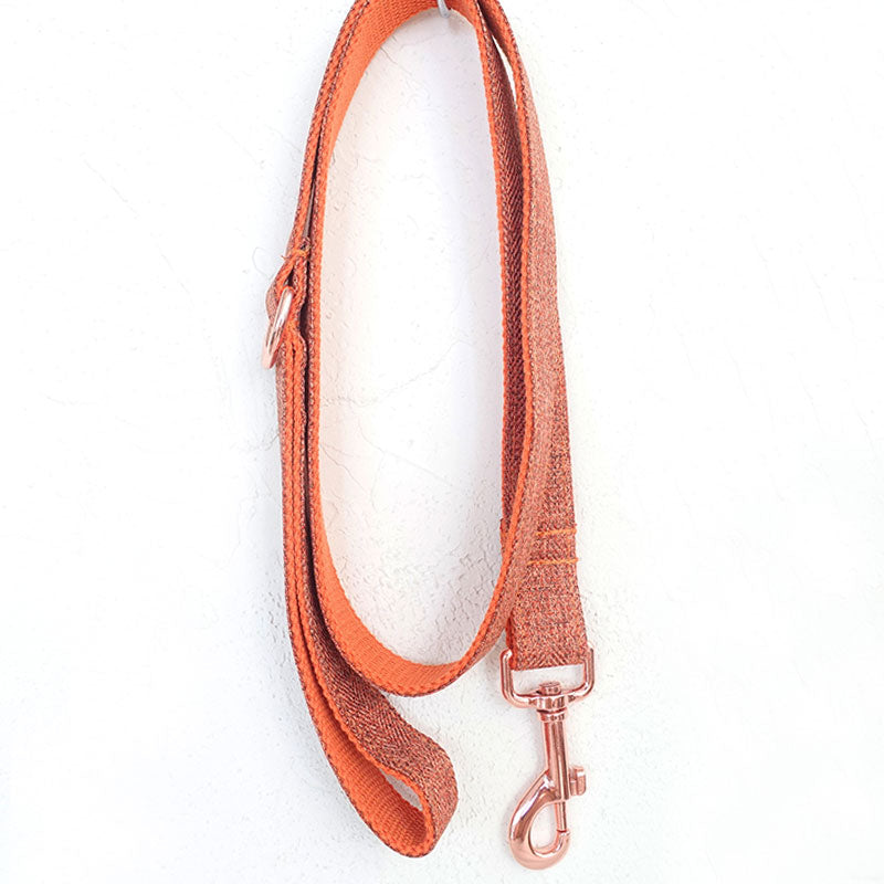 fancy dog leash orange