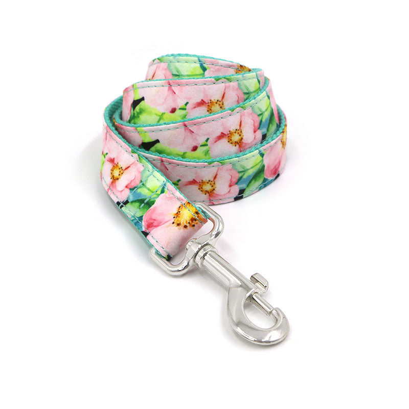 Dog Leash