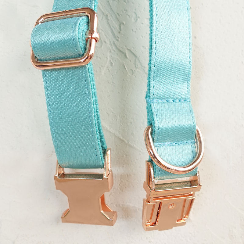 cyan personalized dog collar