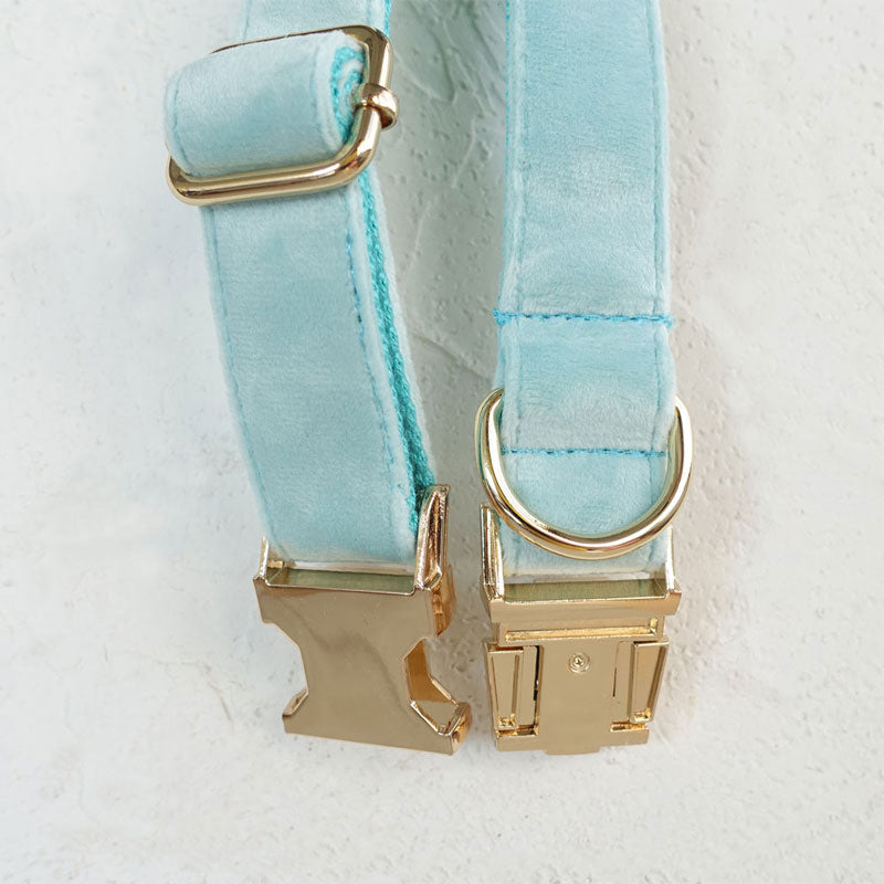 heavy duty dog collar