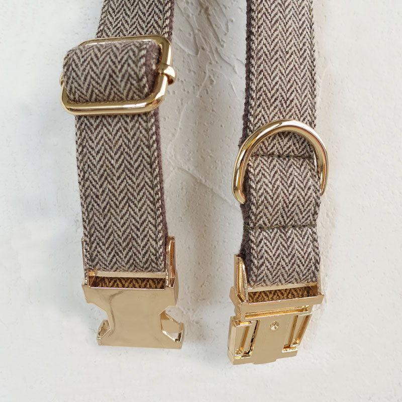 fancy dog collar personalized