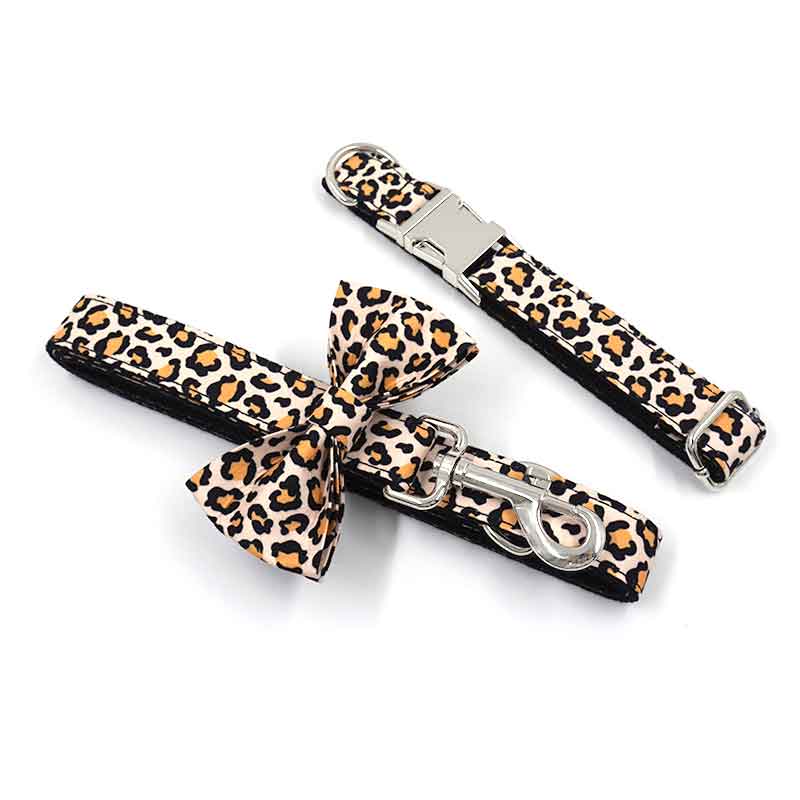 ensemble collier et laisse pour chien