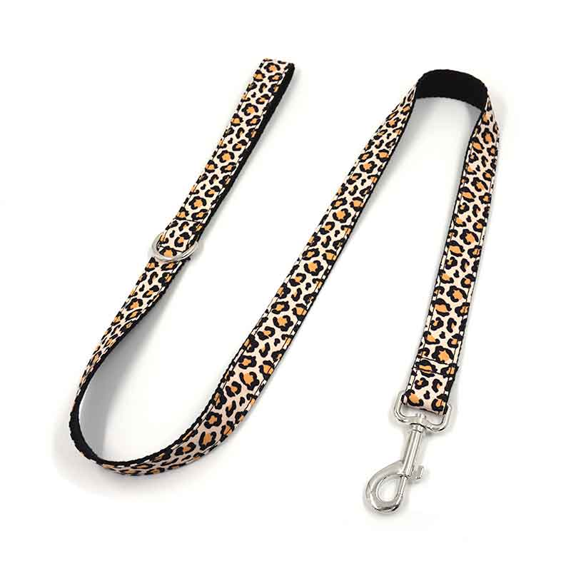 laisse de chien mignonne