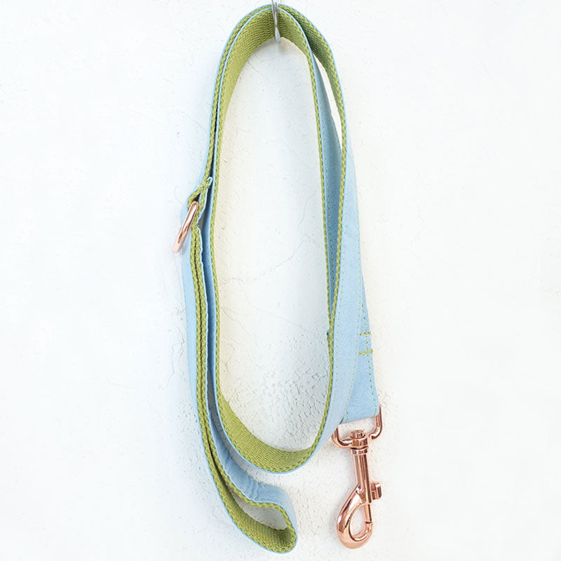 boy dog leash blue velvet