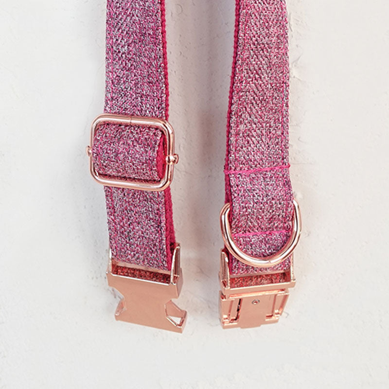 pink dog collar personalized