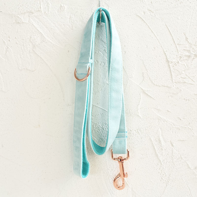 Correa para perro Petduro azul menta