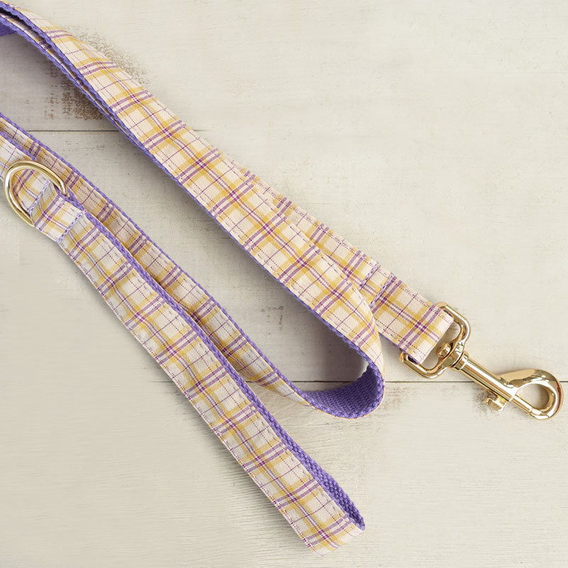 cute purple dog leash
