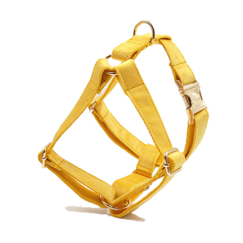 ginger velvet dog harness
