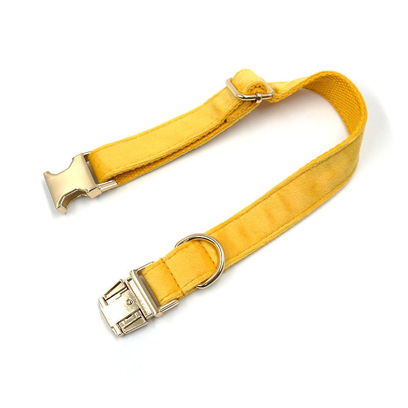heavy duty dog collar ginger velvet