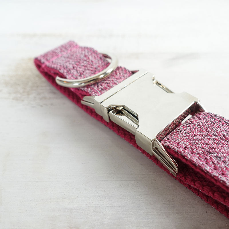 petduro custom dog collar engraved