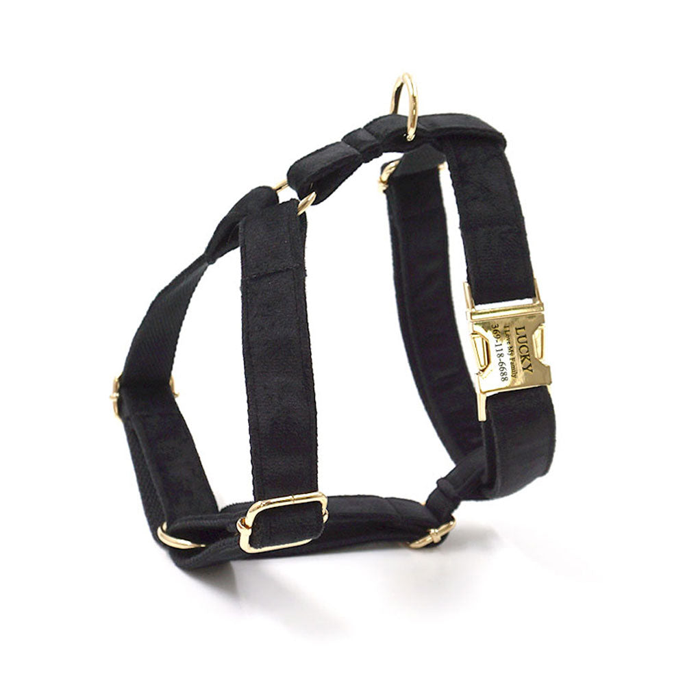 black velvet dog harness