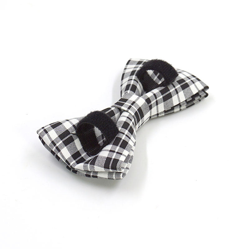 petduro dog collar custom