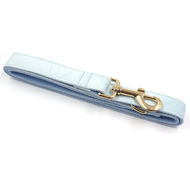 sky blue dog leash