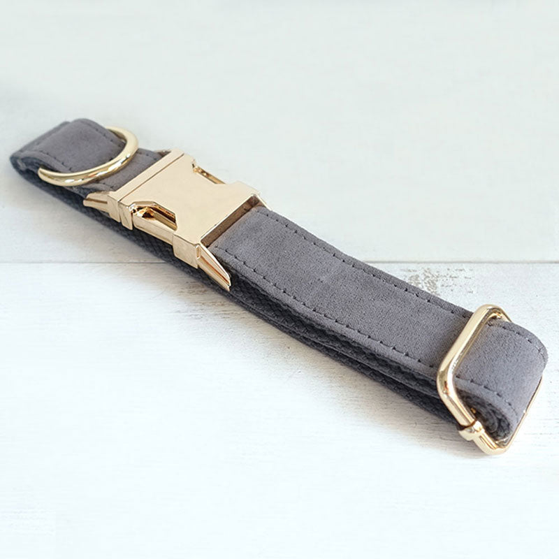 collier pour chien en velours gris
