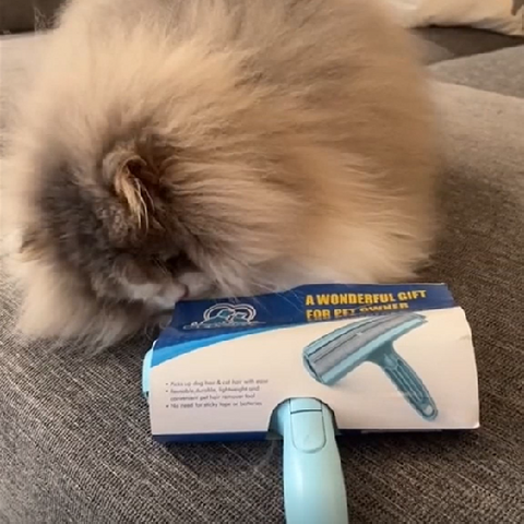 Cat hair remover roller