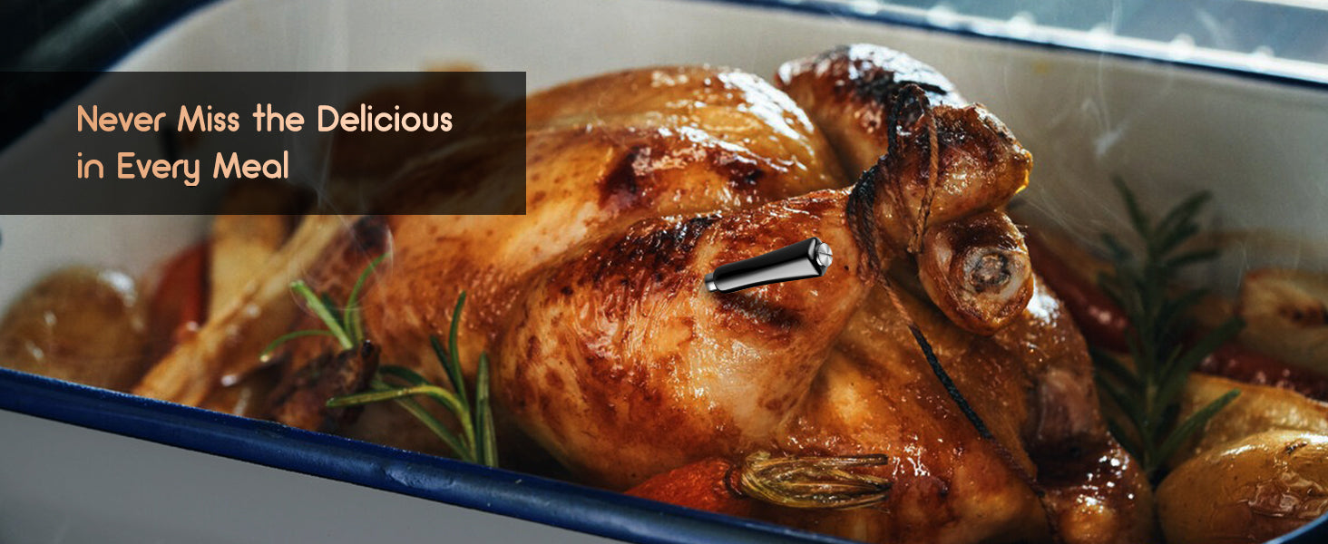 INT-11X-B Wireless Meat Probe Inserted in Chicken