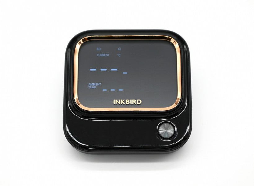 Dad's Secret Weapon For Summer BBQs The INKBIRD IBT-26S 5GHz Wifi Meat  Thermometer
