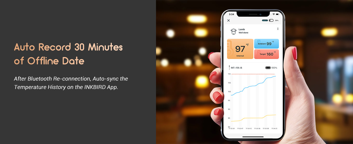 INT-11X-B Auto Record 30-Minute Offline Data