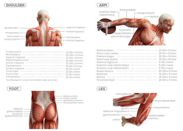 how to use massage gun image