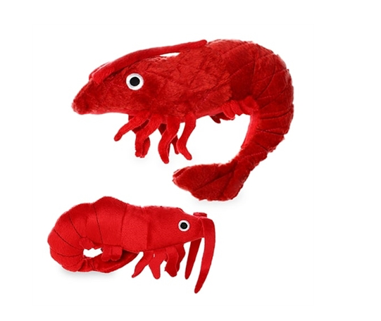 Mighty Ocean Prawn Dog Toy