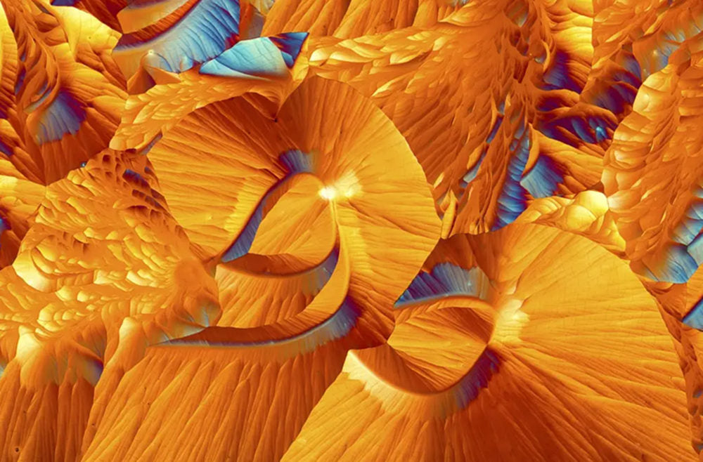 Microscopic biological details
