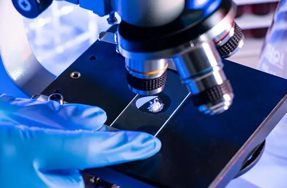 Use a microscope to look at objects