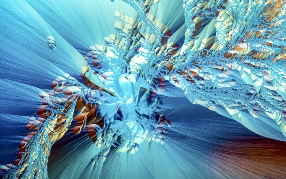 Microscopic biological details