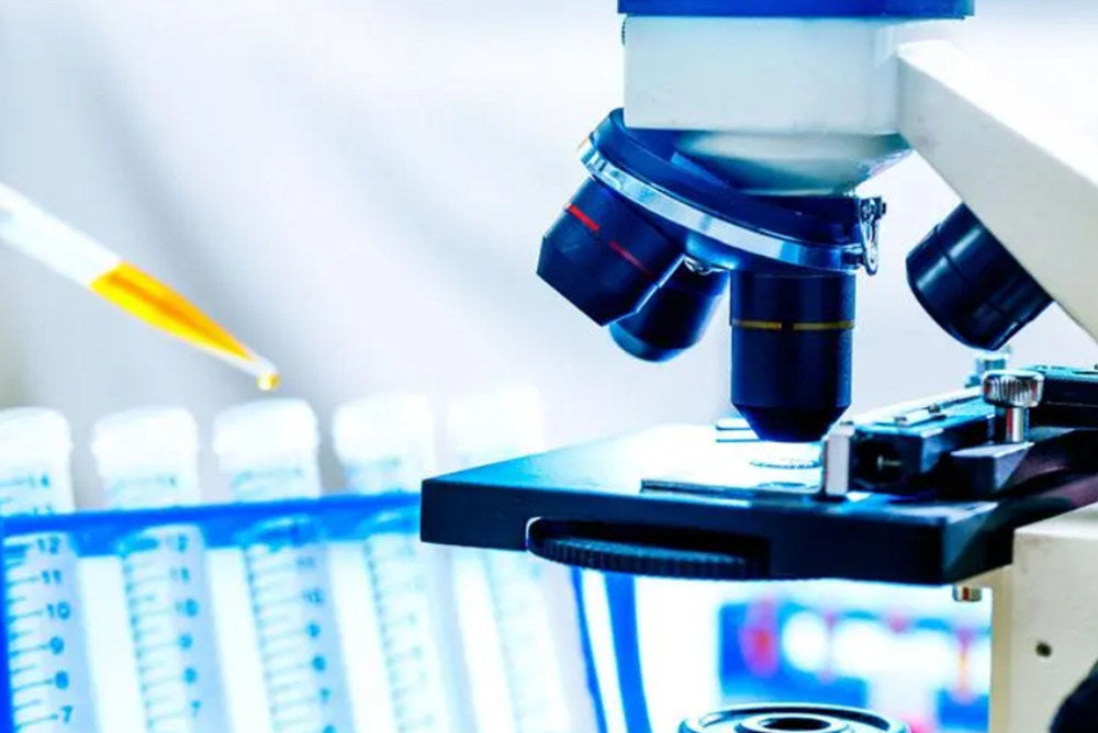 Use a microscope to look at objects