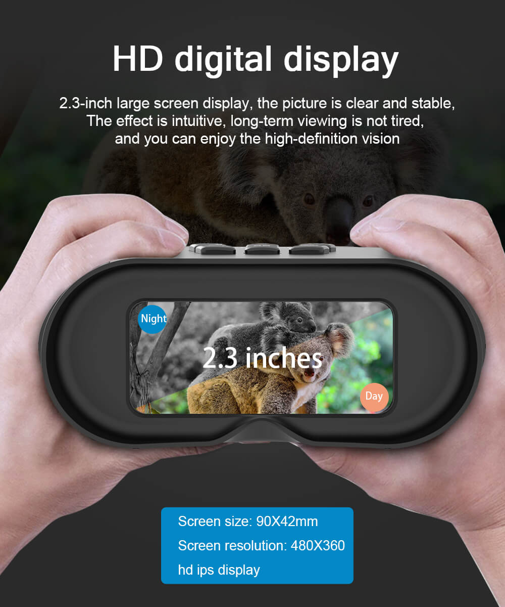 Wide LCD Screen Display