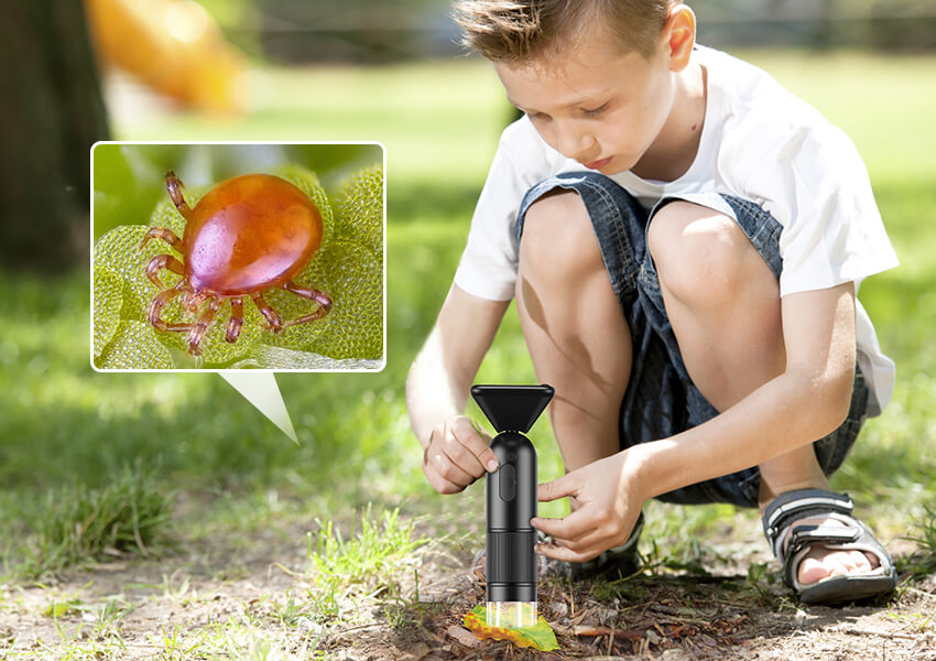 A boy is observing insects with an Apexel handheld portable microscope