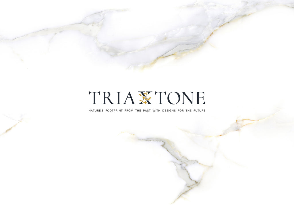 TriaXtone 2020 catalog cover