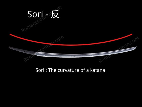 Katana Anatomy - Sori photo