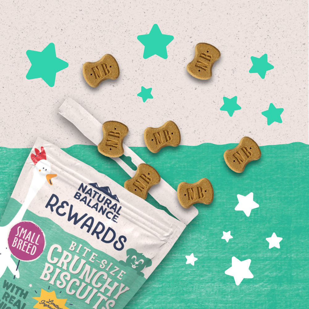 Natural Balance Rewards Crunchy Biscuits With Real Chicken Dog Treats