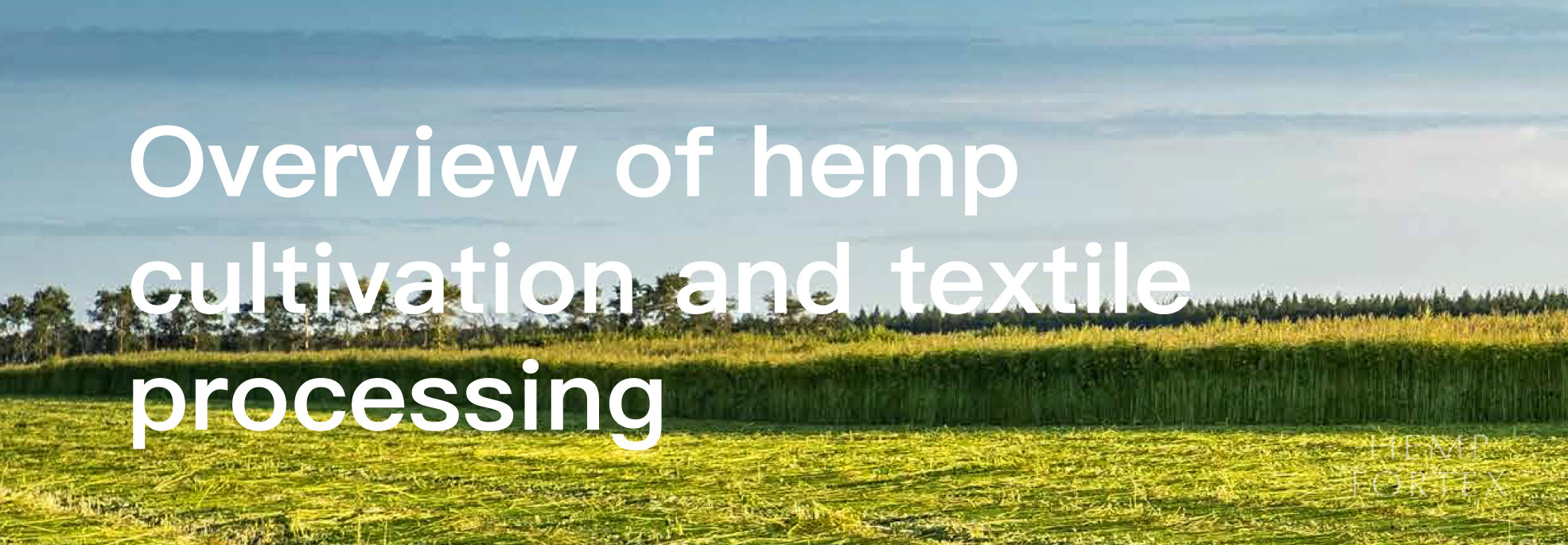 hempfortex hemp fiber fabrics