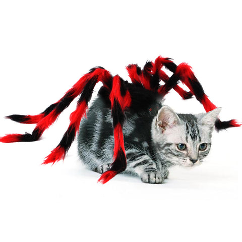 Pet Halloween/Christmas Chest Back Creative Spider Transformation Costume