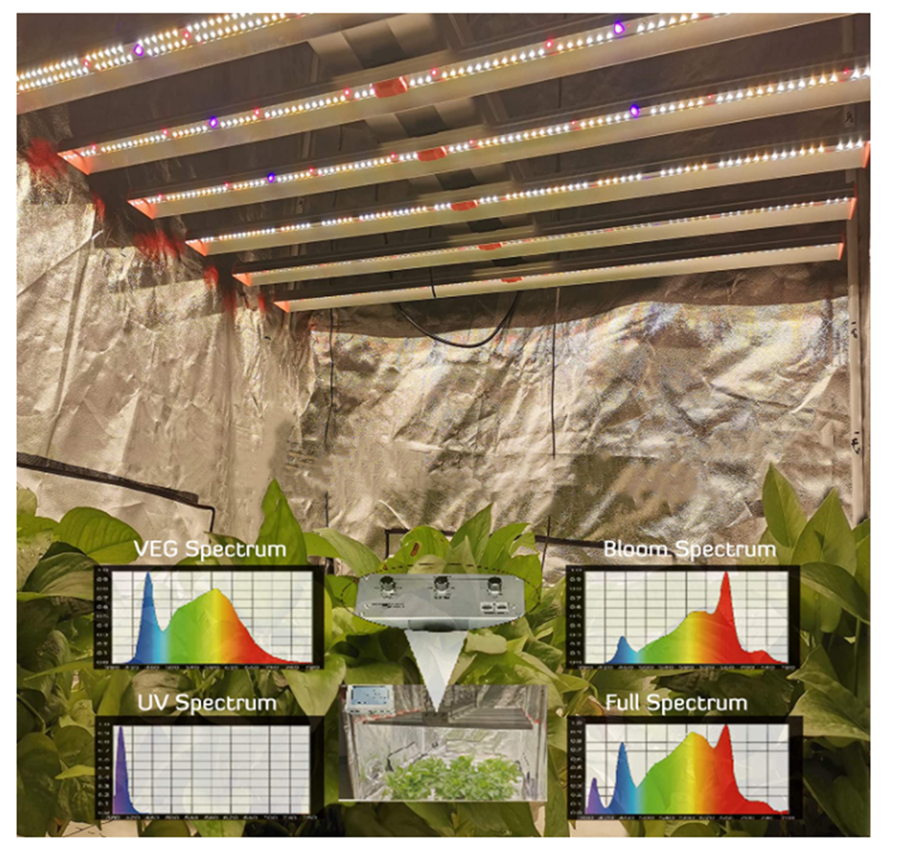 ECO Farm ECOZ 250W/510W/700W/1000W LED Grow Light Strips With Samsung 301H Chips Separately UV+IR Control