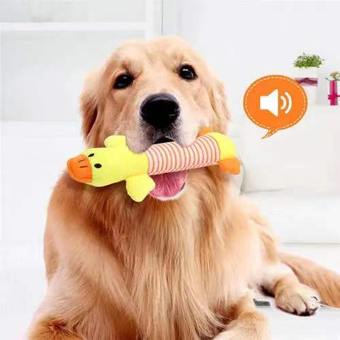 squeaky dog toy