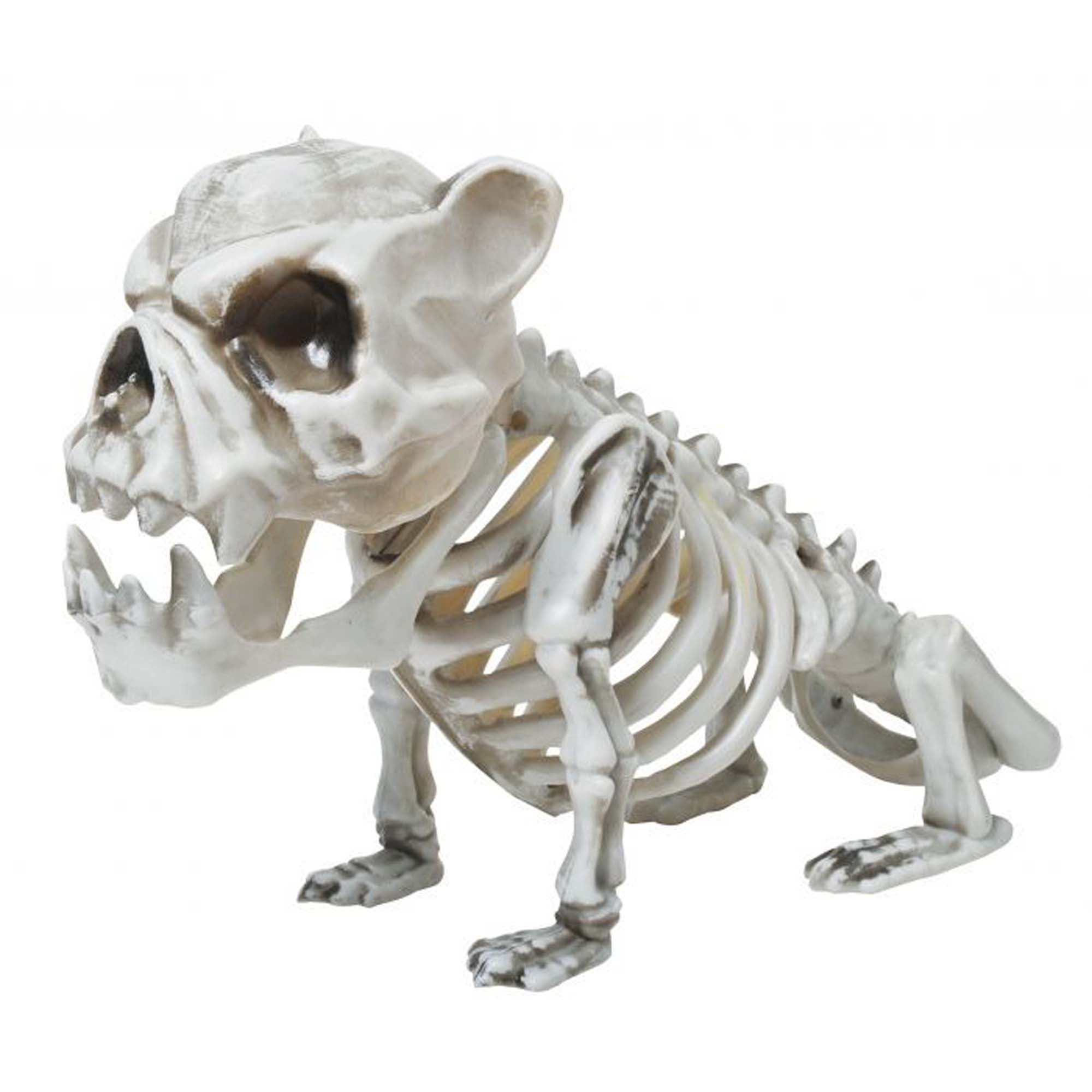 Skele Bull Dog, 13 Inches, 1 Count