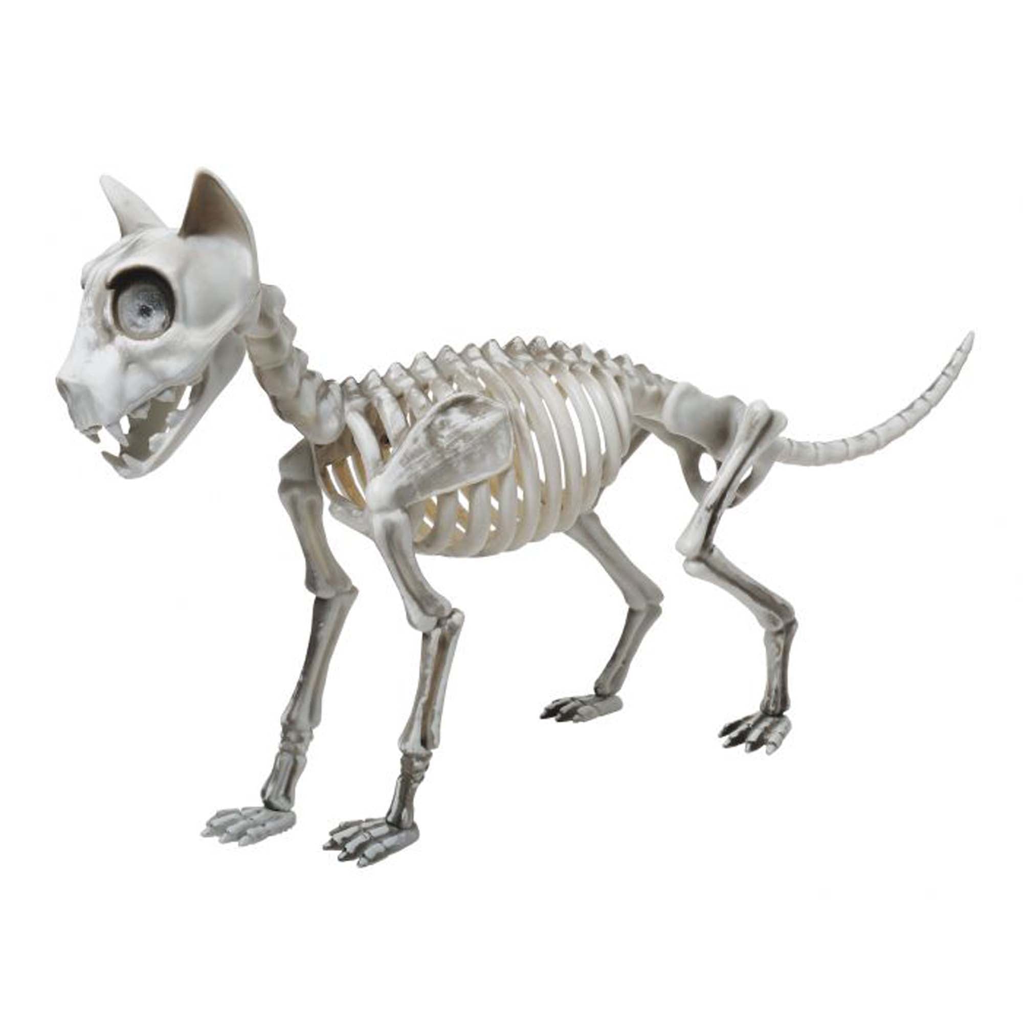 Skele Cat, 20 Inches, 1 Count