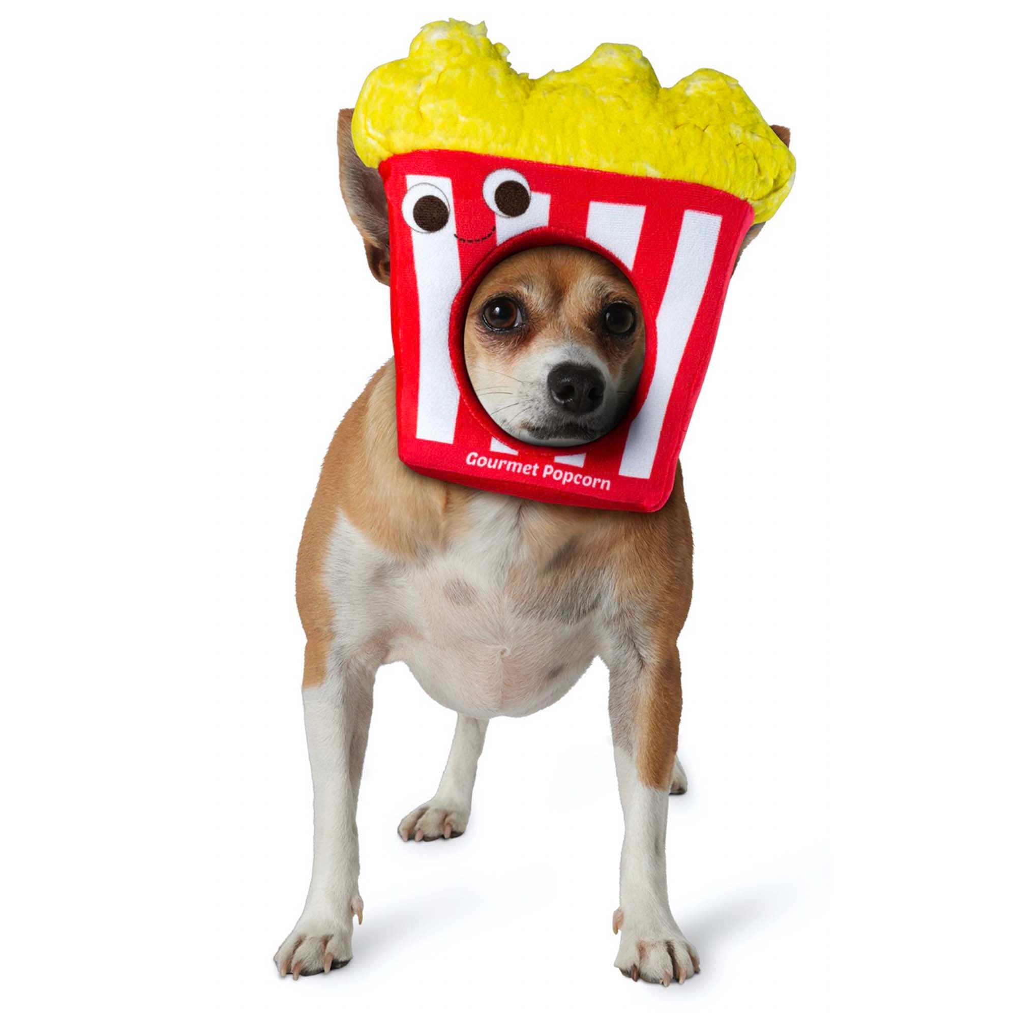 Popcorn Face Costume for Pets