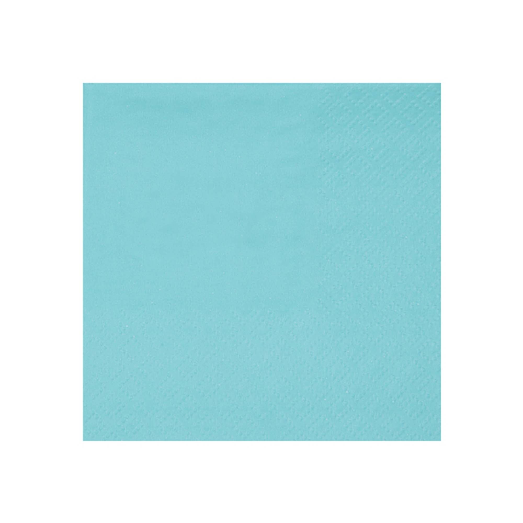 Sky Blue Small Compostable Beverage Paper Party Napkins, 25 Count